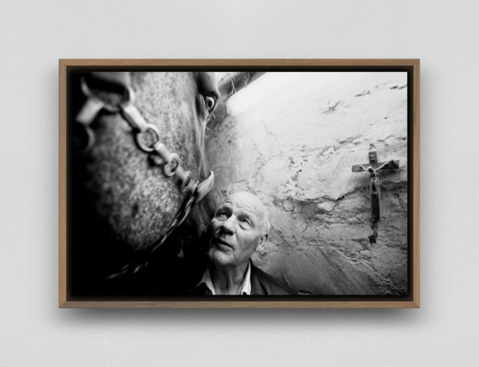 Roger Job / 01