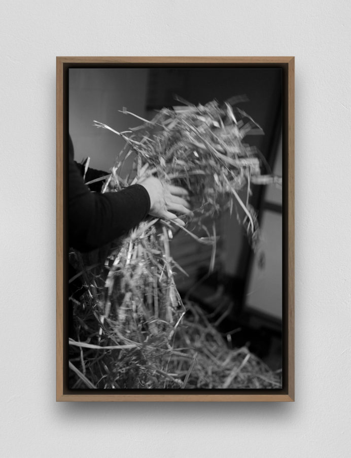 Mathilde Nardone / 03